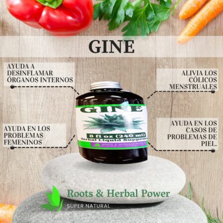 GINE